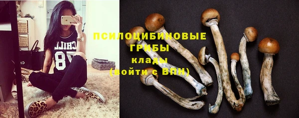 таблы Пересвет