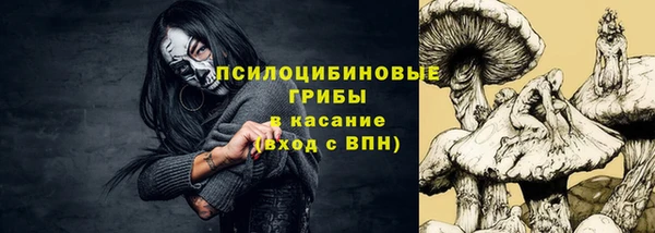 метадон Алексин