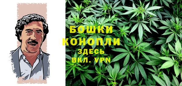 крисы Пестово